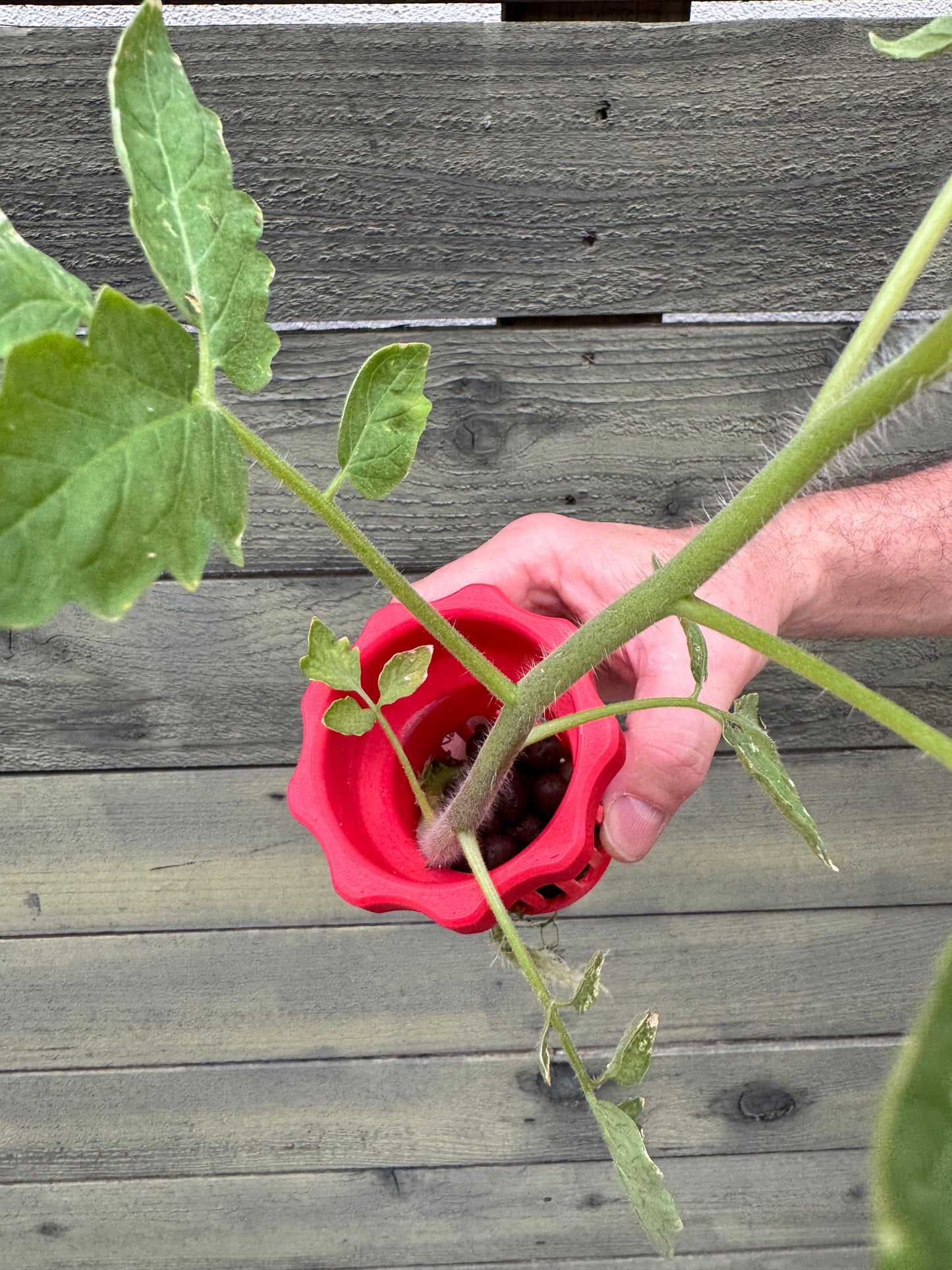 Hydroponic Expanded Clay Growing Media