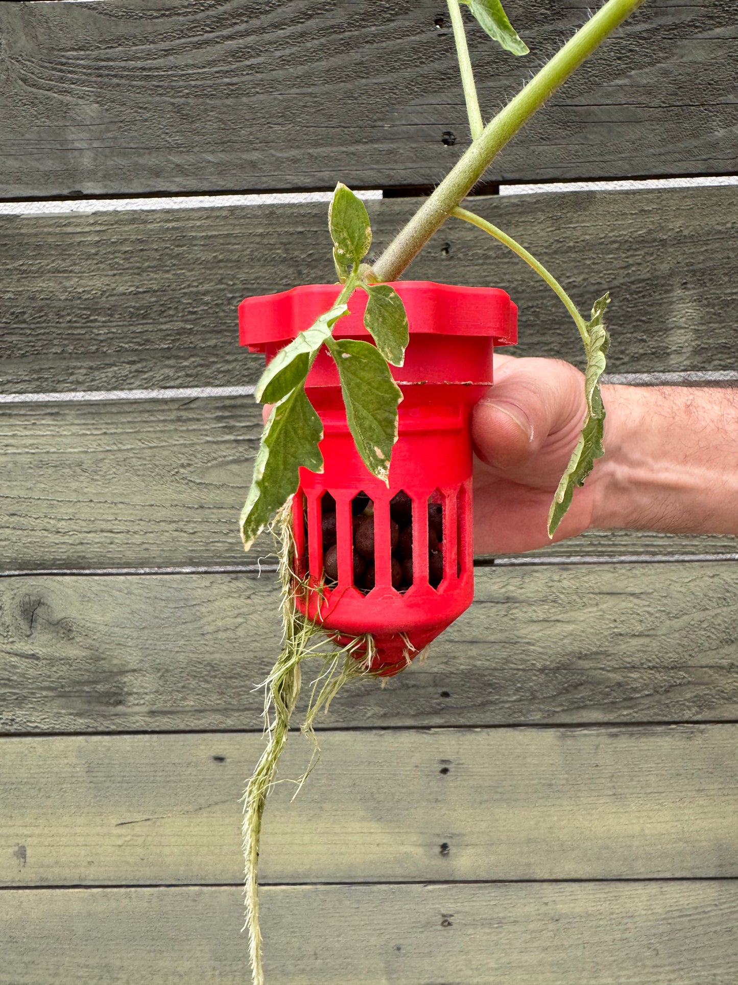 Hydroponic Expanded Clay Growing Media